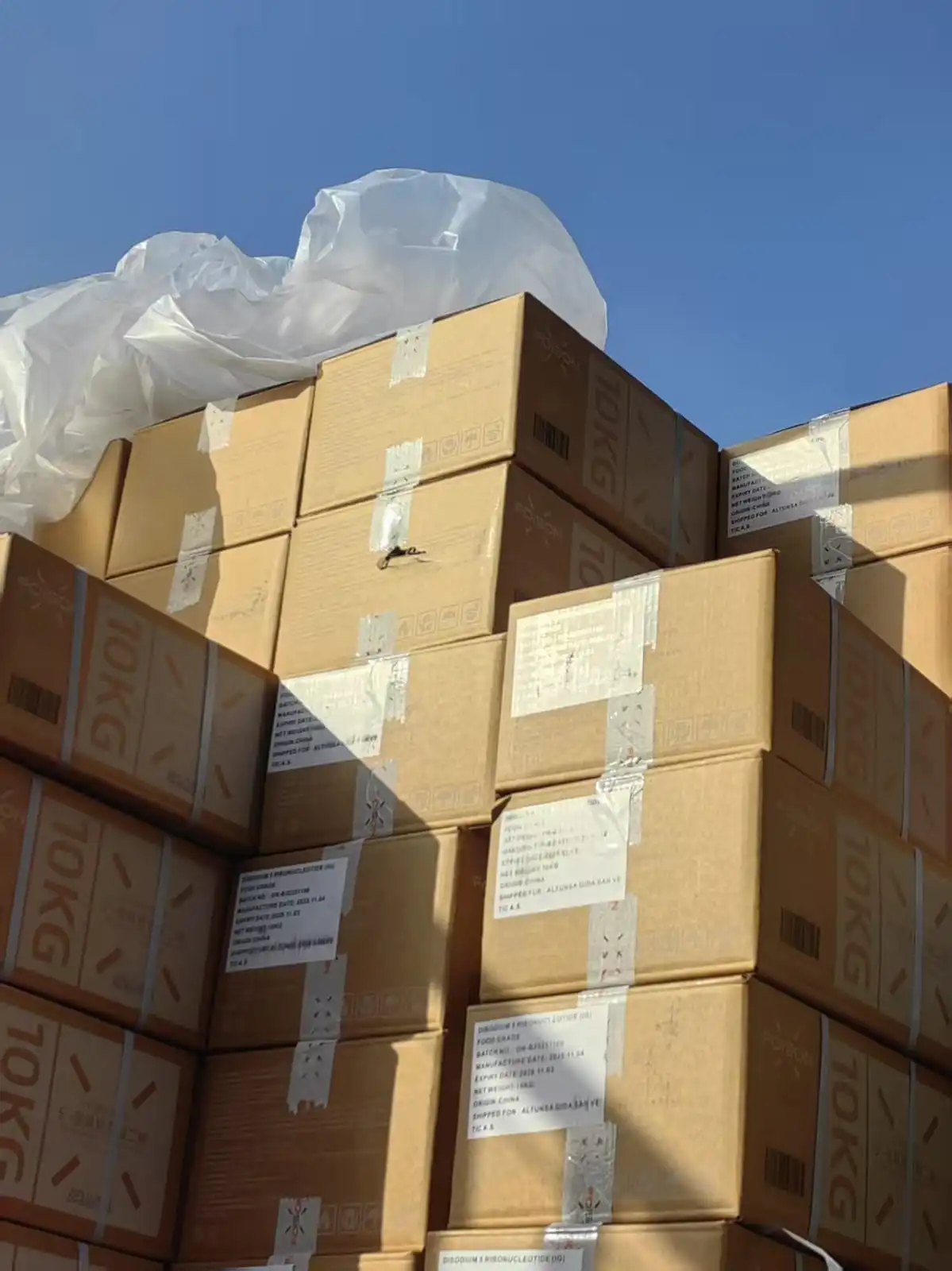 Disodium 5-Ribonucleotide I+G ithalat ürünü